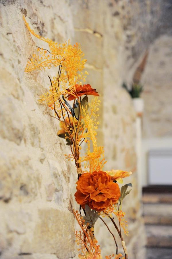 O Rosa Bella Appartamento Via Savelli Della Porta 24 Gubbio Exterior photo